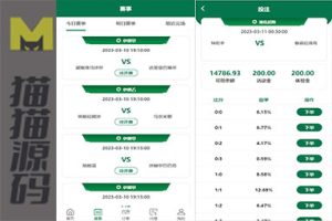 绿色版反波胆系统/反波胆程序/足球投注系统