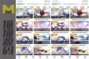 青瓜视频/原生双端APP