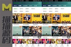 完美千月二开影视APP运营级别