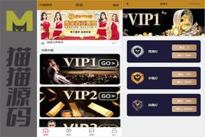 海外28系统/多语言CP系统/时时彩游戏/28游戏/预设开奖/28竞猜源码/批量预设开奖/海外源码