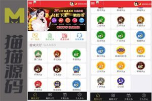 大富二开独家精改UI百分之99完美控制不卡奖