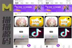 完美运营版完整的1对1直播系统