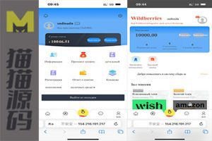 俄罗斯语言抢单+卡单功能+功能完善+可改任何国家的语言