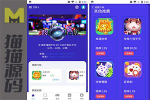 运营级别哈希竞猜九语言VUE源码|可编译app和h5支持二开