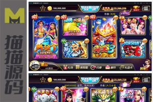 傲玩大玩家娱乐平台支持安卓苹果双端