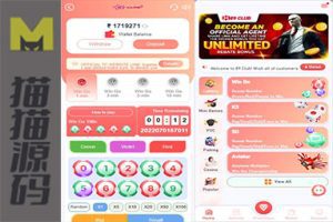 印度双语言红绿灯+印度语+英语K3 5D 红绿竞猜游戏+node源码+完整版本