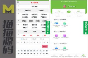 越南时时彩源码/越南5D/6D彩票系统源码/后台可控/采集永久有效