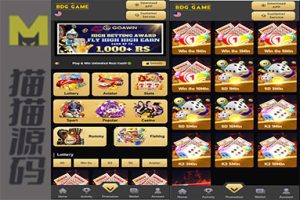 node.js开发的海外K3/5D彩票系统源码、usdt支付