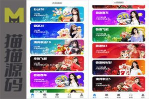 java开发仿南宫28旗舰版28源码 28系统 28游戏