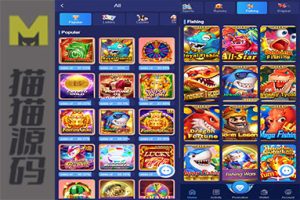 双语言印度综合盘彩票系统+海外综合盘源码+后台可控制+系统彩+node开发