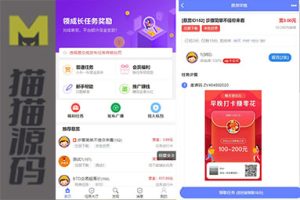 最新2025任务悬赏抢单源码可以说这是目前最牛的一款