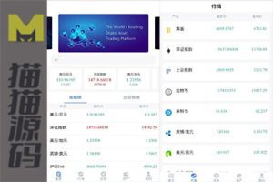 二开微交易白色UI领峰国际