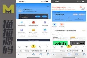 俄罗斯语言抢单+卡单功能+功能完善+可改任何国家的语言