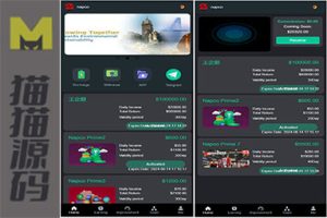 海外沙特矿业虚拟币投资理财源码