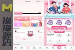 PHP二开的9国语言国外多语言刷单源码