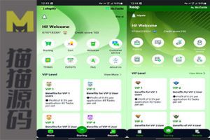 六套英文版抢单ui超漂亮+可卡连单