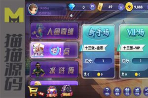 网狐荣耀二开鑫众王者金币场+房卡模式场完整版