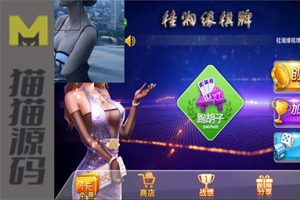 桂湘缘棋牌 桂林字牌扯胡子组件