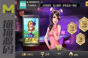 豆客浙友十三水(大亨十三水最终修复版）