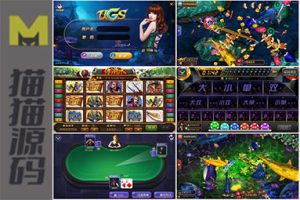 大富豪UGS 5.3版本棋牌娱乐游戏完整全套