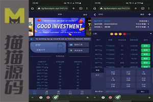 多种语言28游戏二开金融源码