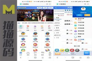 恒达全新IU天恒二开带两个后台模板