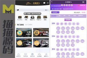 澳门六合乐盈天恒二开带预设