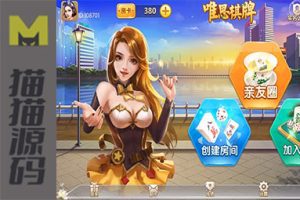 网狐精华系列的牛讯二开唯思棋牌