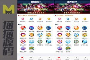 飞鸟星辉源码+聊天功能+无需公众号+无限开房