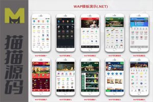 NG接口一站式解决方案的娱乐系统