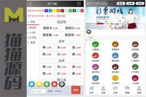 最新天恒多套模版新增一键检测IP/一键切换AB盘/普通客户锁定盘口/VIP可切换特殊赔率/定时切换赔率/杀大赔小/预设号码