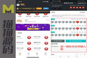 Java时时彩合买彩票、原生双端APP