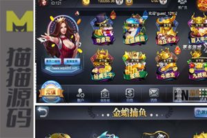 王者牛牛源码/可以编译并非组件