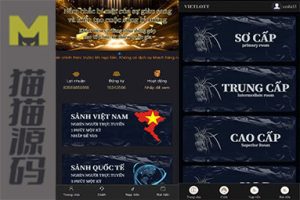 越南彩票+印尼彩票2.1盘口+漏洞时间盘