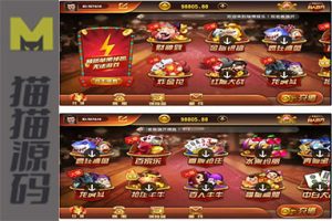 瑞博娱乐 完美运营版 代理完整 带微信登录和手机登录