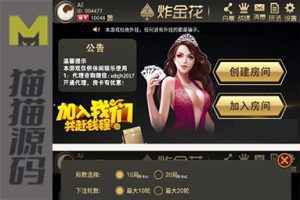 9人手机炸金花娱乐游戏源码完整全套包含AndroidiOS数据库服务端