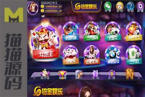 铂金YL娱乐游戏（完整组件、完善代理系统、邀请码、双端APP）