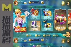 网狐卓越版双端+H5精美UI23款子游戏