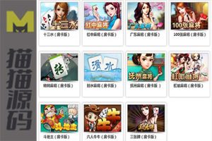 网狐荣耀版多款本子游戏源码（娱乐场、休闲场）等