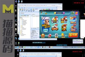 DG娱乐ZQ娱乐源码高仿蓝月组件、客户端源码