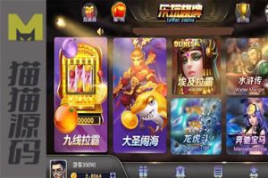乐玩棋牌 金币版本 网狐荣耀二开 26个子游戏完美运营