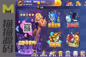 猫娱乐宝马版棋牌源码