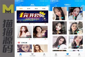 全网首发最新完整支付宝暗雷源码