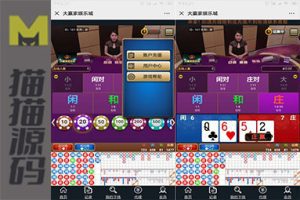 微信大赢家真人H5百家乐/支付已接