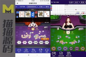 H5云端TT乐，百家乐游戏源码，H5棋牌类源码，完全开源，支持二次开发