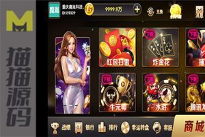 颂游黑金版 26款金币游戏完整组件