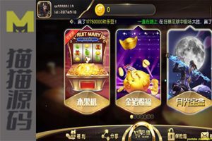 TNT永盛娱乐电玩城完整服务器+打包数据+双端app正常+服务器授权文件 带超端点控