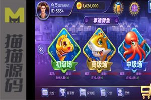 最新大富豪二开隆鑫棋牌电玩完美营运