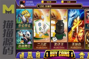 最新鸿盛娱乐源码+子游戏源码 多UI前端