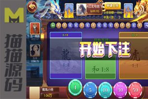 五游金币大联盟 盛兴娱乐 带机器人东西齐全完美营运源码